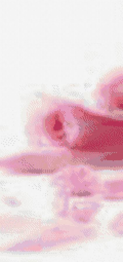 роза 1 - предпросмотр