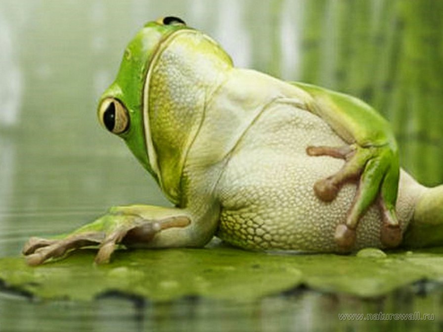 на отдыхе - оригинал