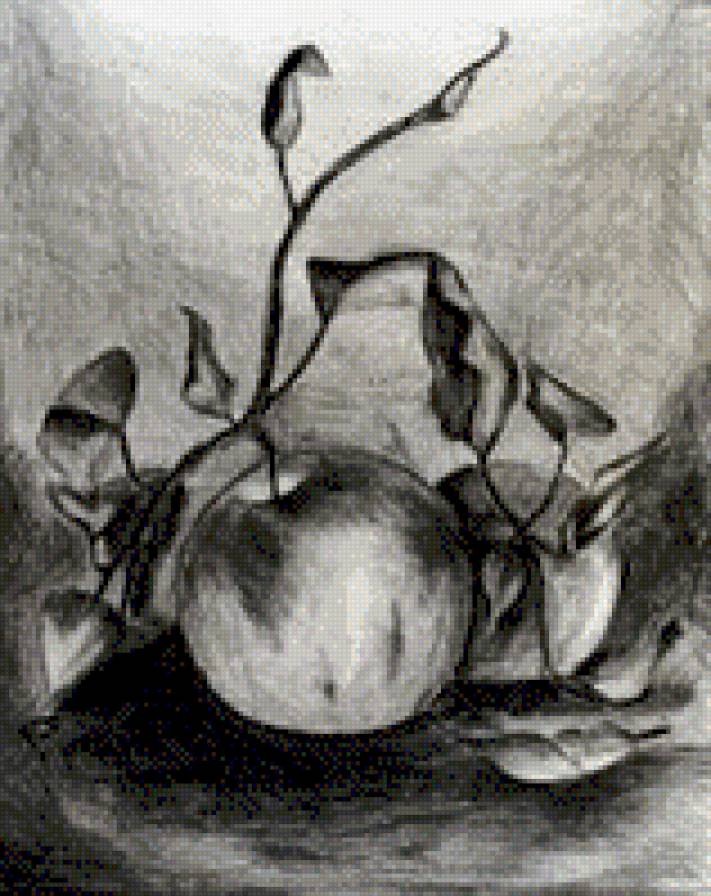 naturmort z jablokami - ziwopis, naturmort - предпросмотр