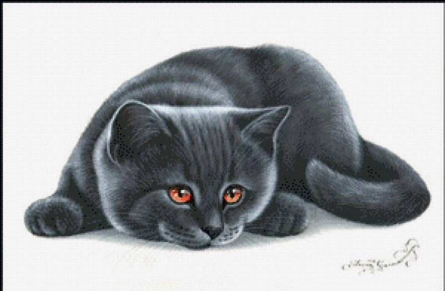 серия "кошки" - животные.кошка - предпросмотр