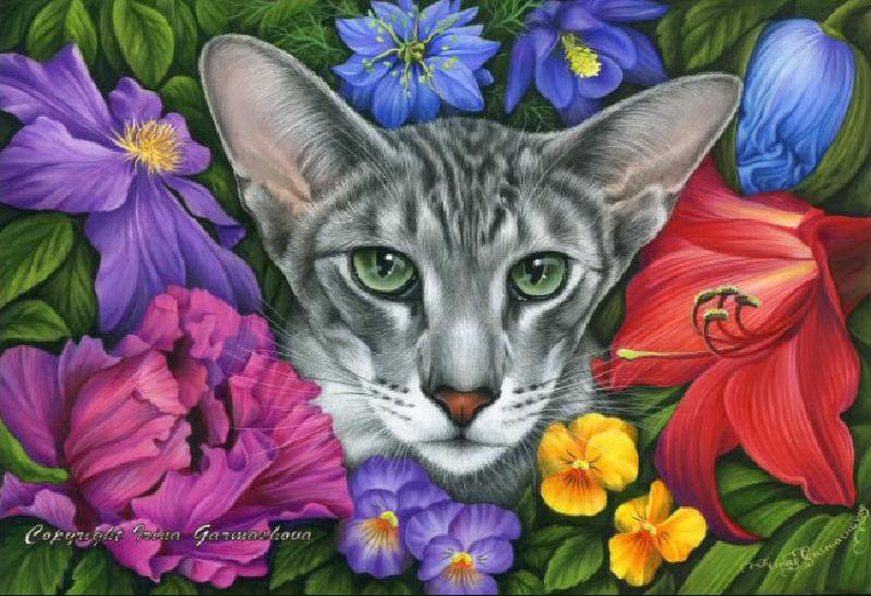 серия "кошки" - животные.кошка.цветы - оригинал