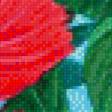 Предпросмотр схемы вышивки «Цветы (индийская художница Бхагвати Нат)» (№499480)