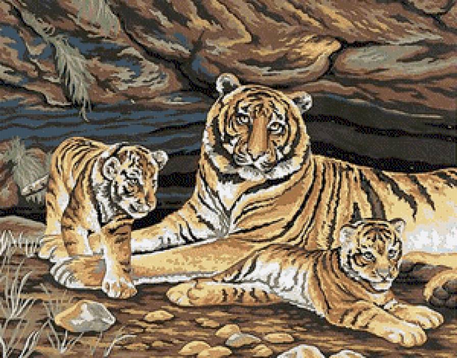 Семейство - природа, кошки, картина, дикие, животные, хищники, тигры - предпросмотр