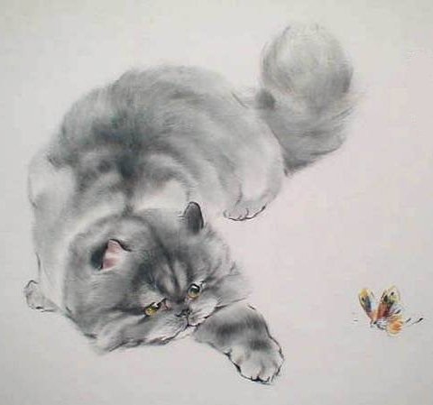 Кошка - животные, кошки - оригинал