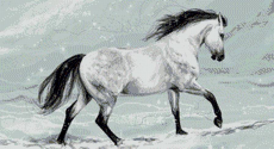 Лошадь - животные, лошадь - предпросмотр