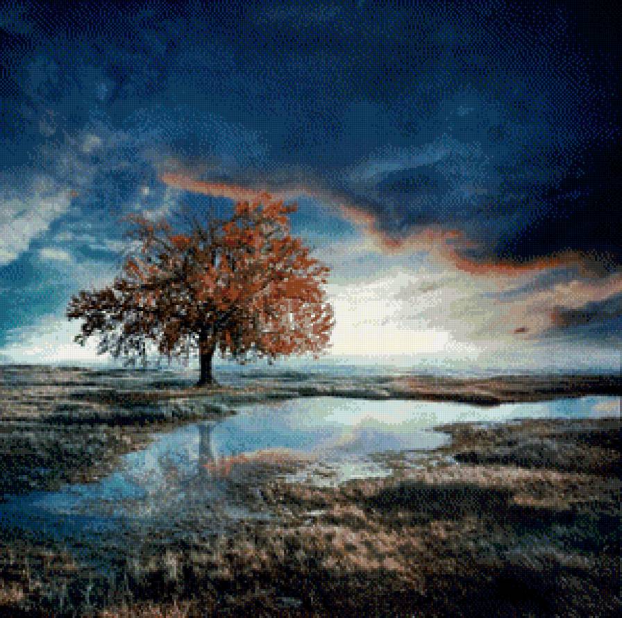 На закате - закат, поле, вода, осень, тучи, одинокое дерево - предпросмотр