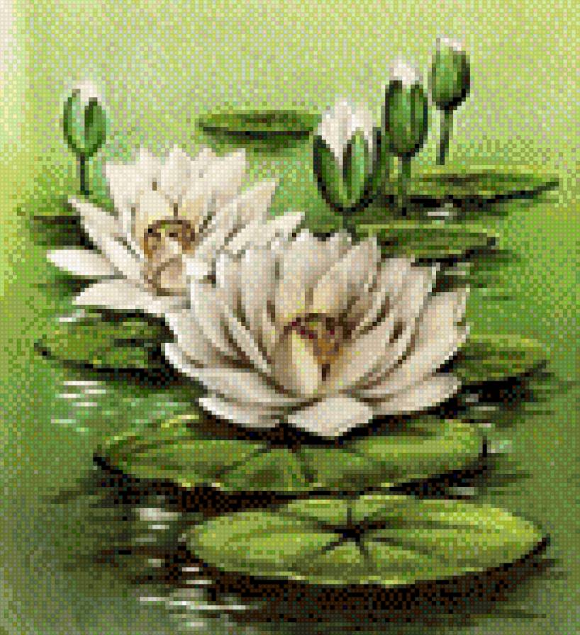 Кувшинки3 - предпросмотр