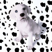 Схема вышивки «Доматинец»