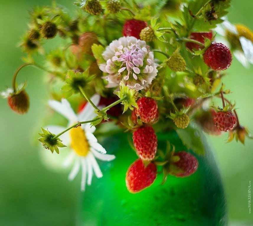 Flowers2 - оригинал