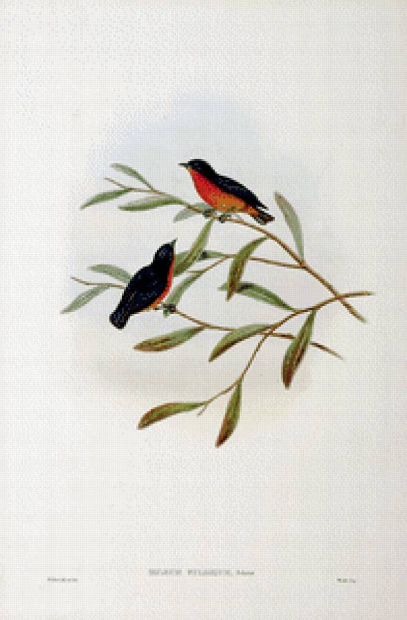 Серия "Птички-невелички" - птицы, цветы - предпросмотр