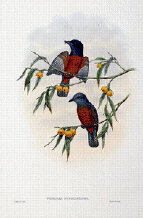 Серия "Птички-невелички" - птицы, ягоды - предпросмотр