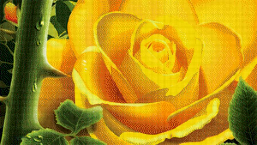 Желтая роза - цветы, розы, натюрморт - предпросмотр