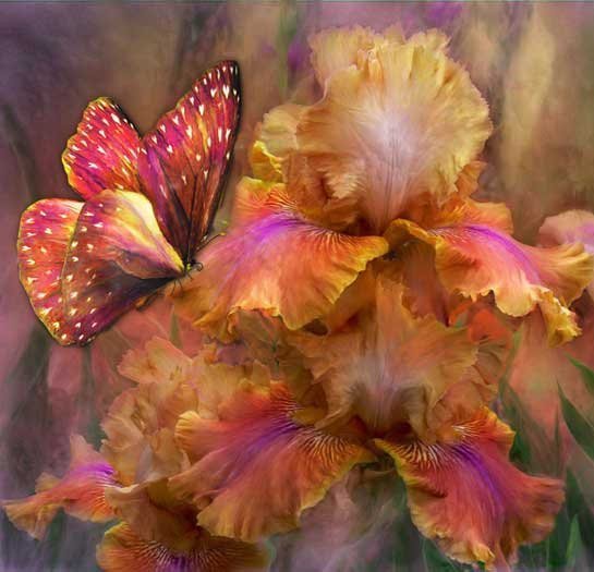 Бабочка на цветке - бабочки, насекомые - оригинал