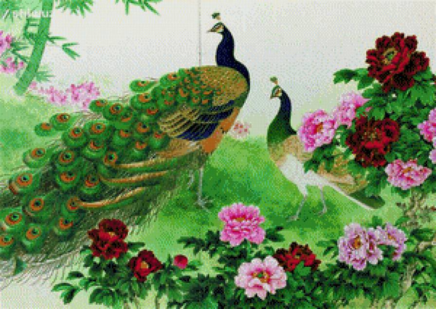 Павлины в саду - птицы, природа - предпросмотр