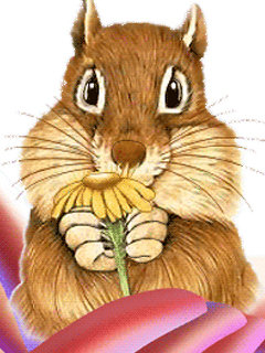 хома - цветок, подарок - оригинал