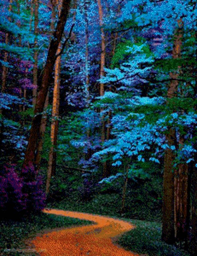 Волшебный лес - дорога, природа, лес - предпросмотр