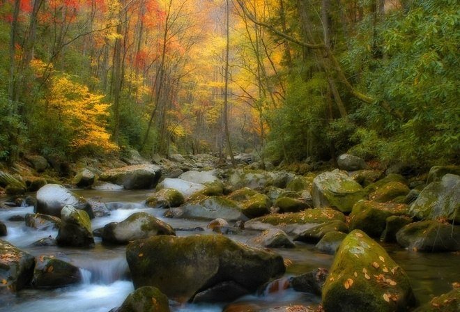 Лесная речка - осень, лес, камни, река - оригинал