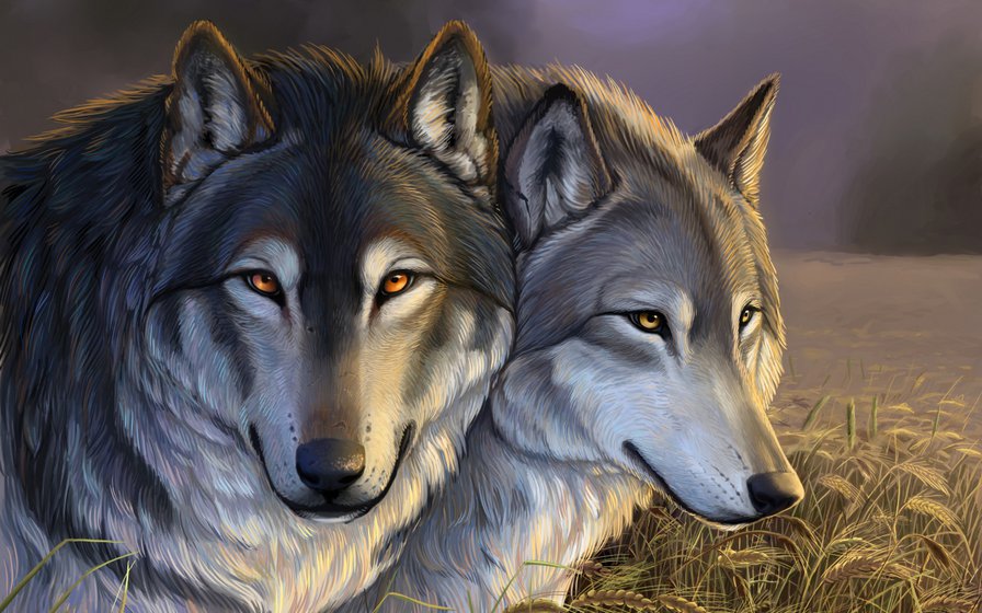 волки - волки - оригинал