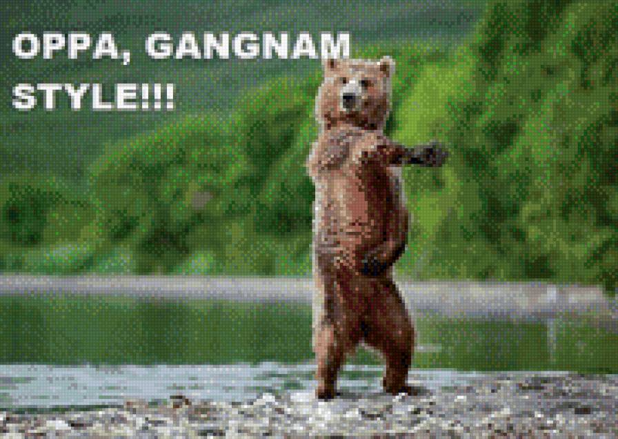 мишка гангнамстайл - юмор, мишка, природа, прикол - предпросмотр