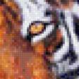 Предпросмотр схемы вышивки «триптих "тигр"» (№500797)