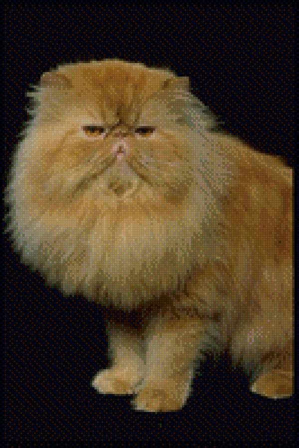 Рыжик)) - звери, животные, кошки - предпросмотр