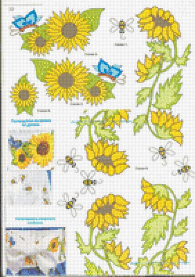 Sunflower2 - подсолнух - предпросмотр