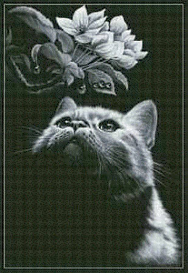 Кот - предпросмотр