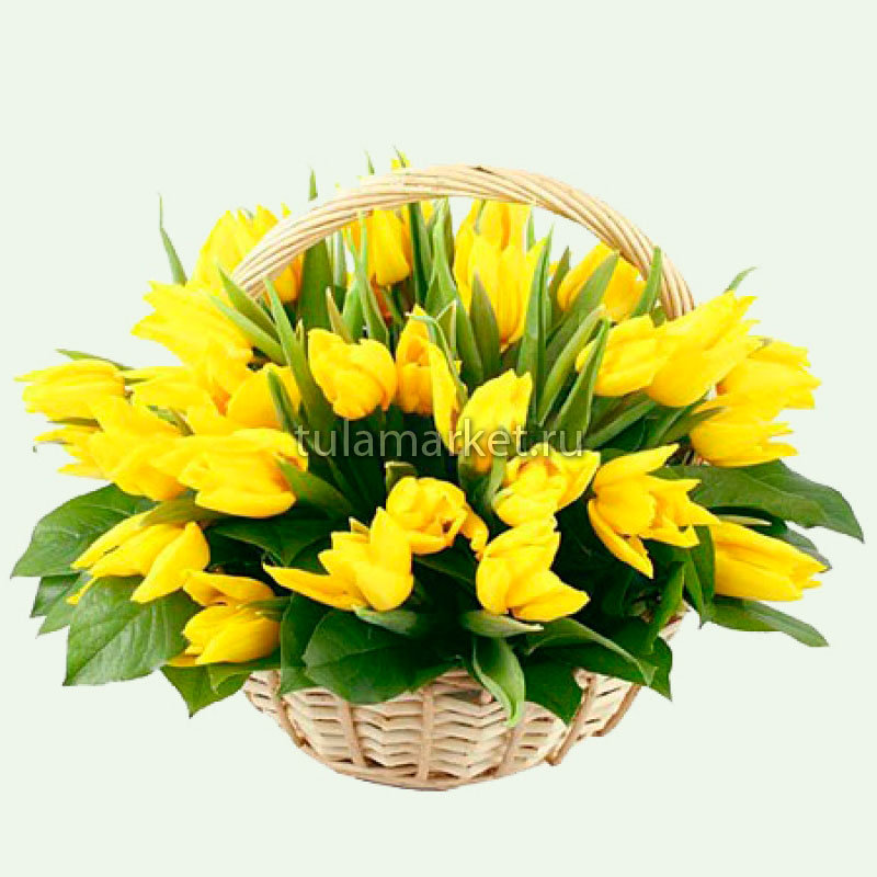 Тюльпаны - цветы - оригинал