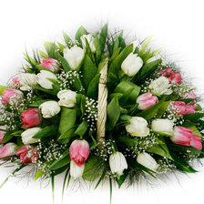 Схема вышивки «Тюльпаны2»