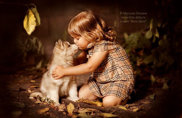 девочка и щенок* - собаки, дети, малыши, девочки, щенки - оригинал