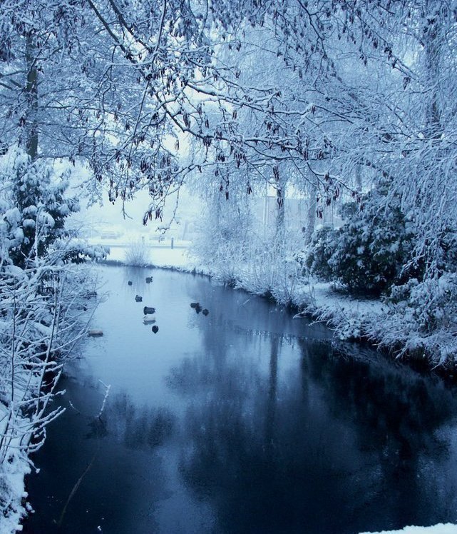 Зимний пейзаж - лес, зима, природа, река - оригинал