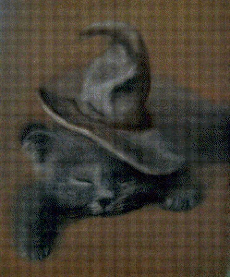 будущий спутник хороших тёть - котенок, хелоуин, шляпа, кот, лапушка, милашка - предпросмотр