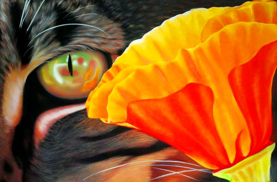 взгляд - цветы, кошка, кот, живопись - оригинал