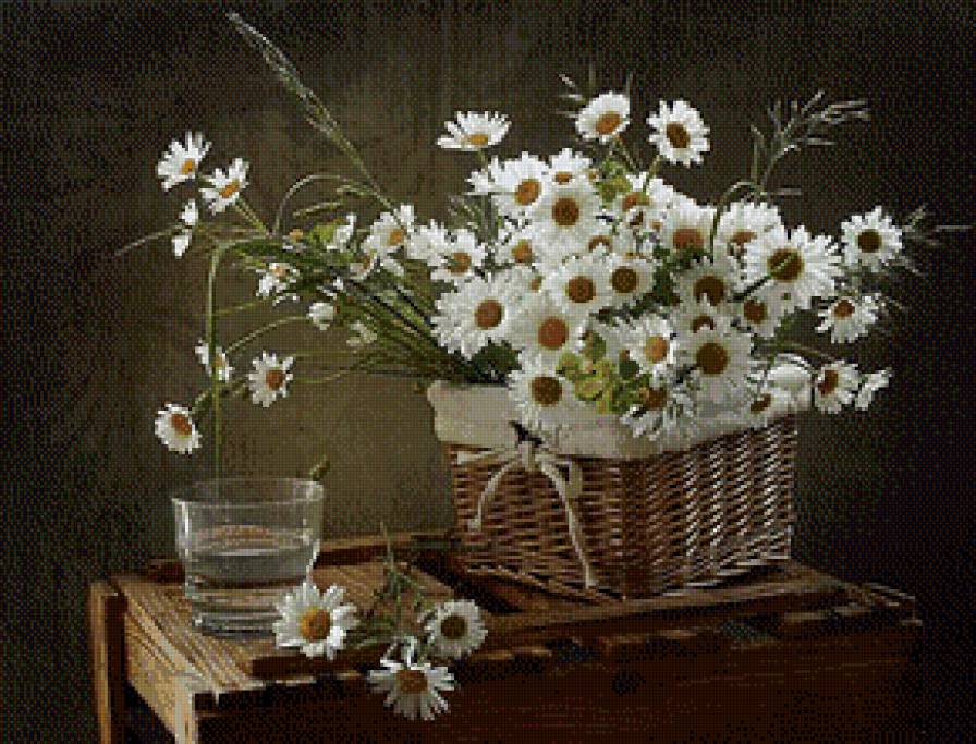 ромашки - предпросмотр