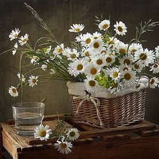 Схема вышивки «ромашки»