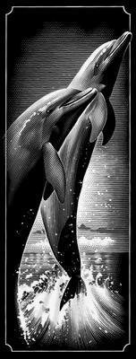 дельфины монохром - море, чорнобелое, дельфины - оригинал