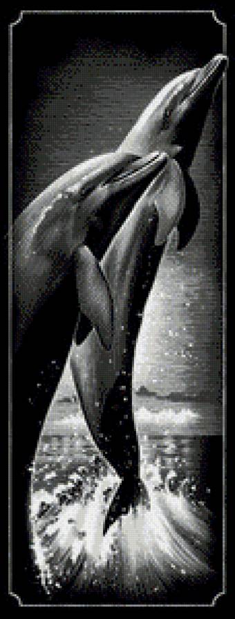 дельфины монохром - чорнобелое, дельфины, море - предпросмотр