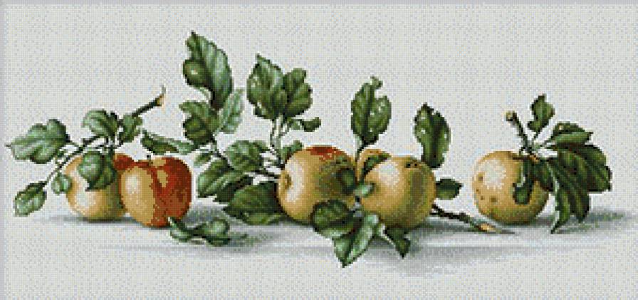 №501471 - предпросмотр