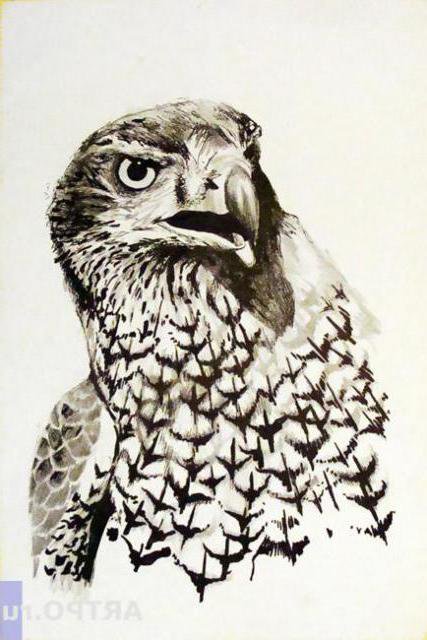 орёл монохром - животные, орел, птицы - оригинал