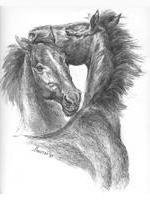 кони монохром - кони, монохром, чорнобелое, животные, лошади, единороги - оригинал
