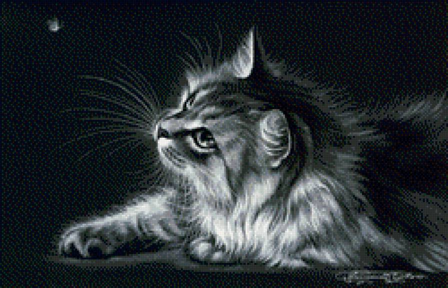 кот и бабочка монохром - чорнобелое, монохром, котенок, кот - предпросмотр