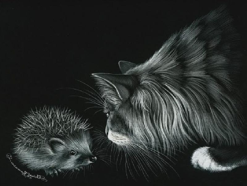 кот и ёжик монохром - котенок, кот, чорнобелое, монохром - оригинал