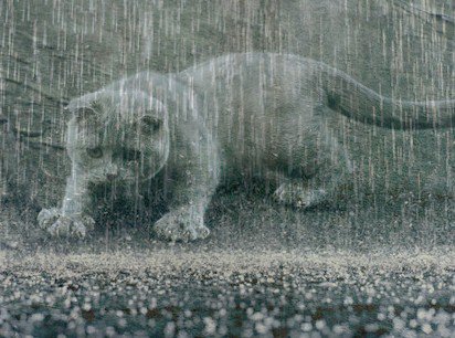 №501583 - оригинал