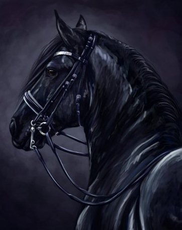 Лошадь - лошади, животные - оригинал