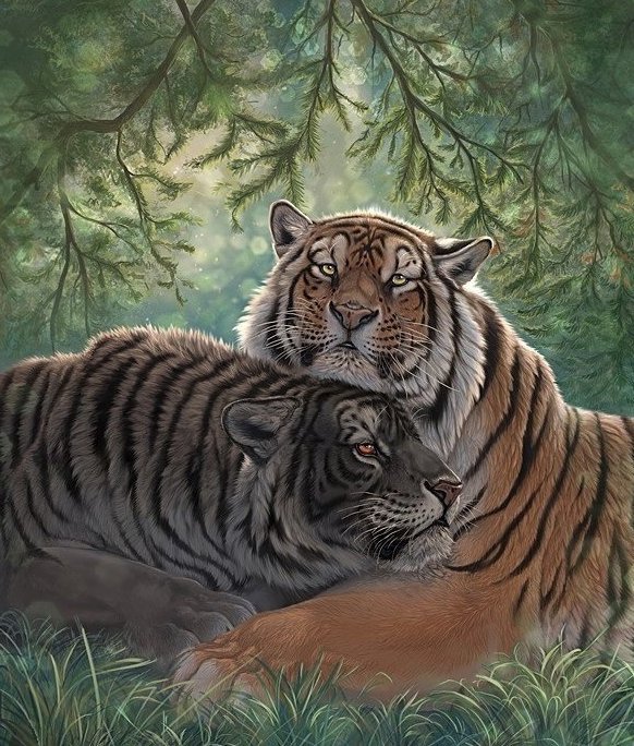 Тигрули 2 - оригинал