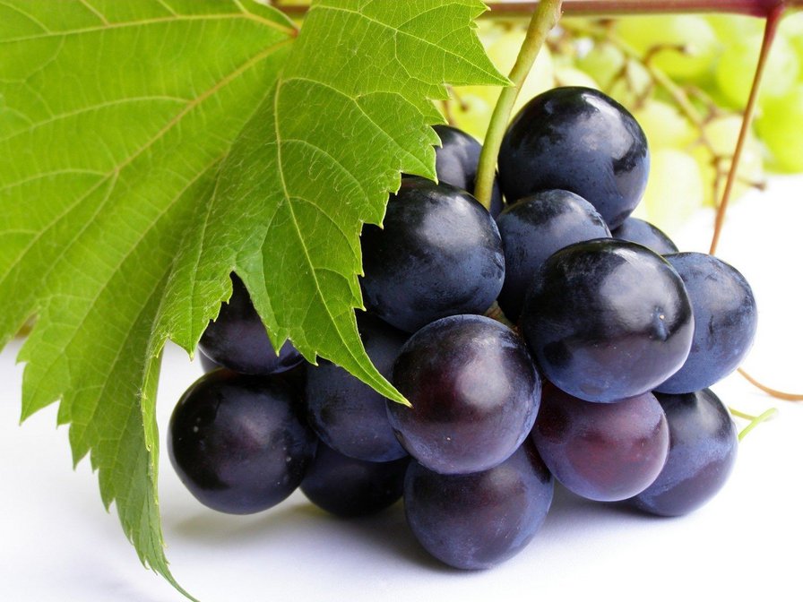 Черный виноград - виноград, растения, макро, природа - оригинал