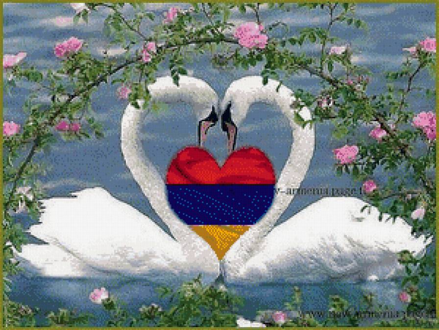 Лебеди - флаг, природа, пара - предпросмотр