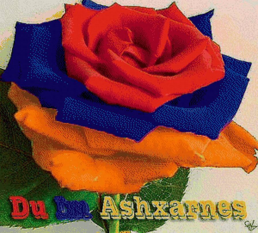 Цветами Армении - роза, армения, флаг - предпросмотр