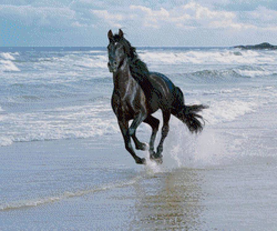 бег - животные, лошадь, море - предпросмотр