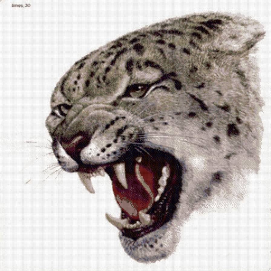 №501789 - предпросмотр